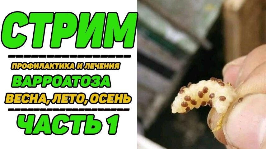 Вбудована мініатюра для Youtube video