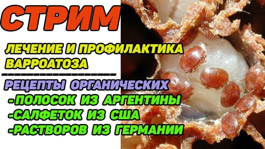 Вбудована мініатюра для Youtube video